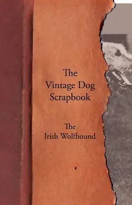 Cartea de amintiri a câinelui de epocă - Wolfhound-ul irlandez - The Vintage Dog Scrapbook - The Irish Wolfhound