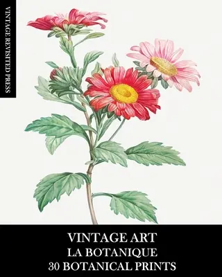 Vintage Art: La Botanique: 30 de printuri botanice pentru înrămare, colaj, decoupage și junk journals - Vintage Art: La Botanique: 30 Botanical Prints for Framing, Collage, Decoupage and Junk Journals