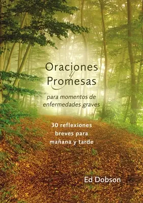 Oraciones y promesas Softcover Rugăciuni și promisiuni atunci când te confrunți cu o boală care îți pune viața în pericol - Oraciones y promesas Softcover Prayers and Promises When Facing a Life-Threatening Illness