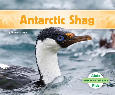 Cormoran antarctic - Antarctic Shag