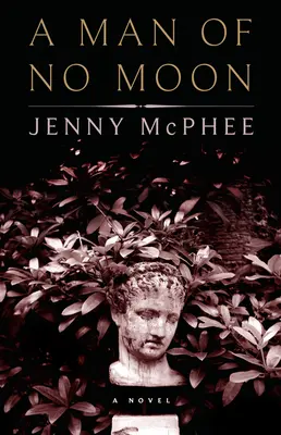 Un om fără lună - A Man of No Moon