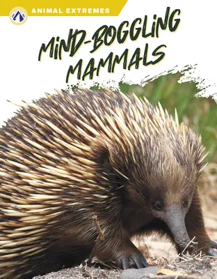 Mamifere năucitoare - Mind-Boggling Mammals