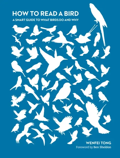 Cum să citești o pasăre - Un ghid inteligent despre ce fac păsările și de ce - How to Read a Bird - A Smart Guide to What Birds Do and Why
