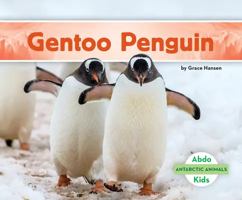 Pinguinul Gentoo - Gentoo Penguin