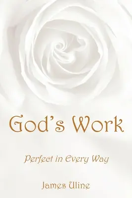 Lucrarea lui Dumnezeu: Perfectă în toate privințele - God's Work: Perfect in Every Way