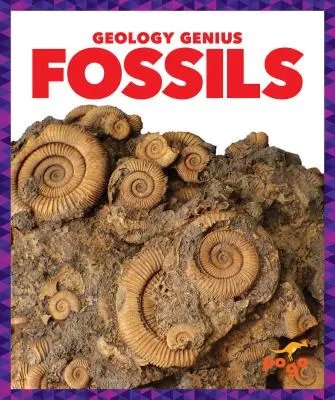 Fosile - Fossils