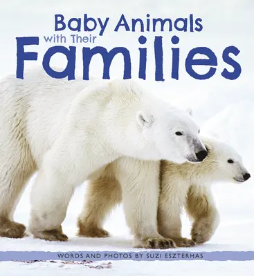 Bebeluși animale cu familiile lor - Baby Animals with Their Families