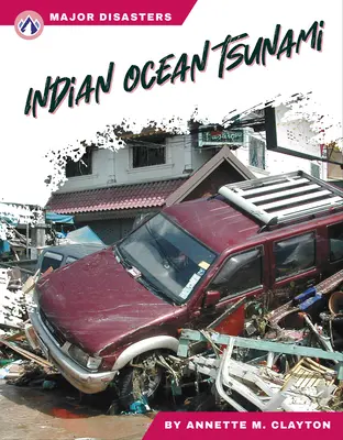 Tsunami în Oceanul Indian - Indian Ocean Tsunami