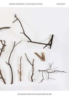 Jimmie Durham & un băț în pădurea de pe marginea drumului: Separare și distincții - Despre țestoase, bosoni și teorie - Jimmie Durham & a Stick in the Forest by the Side of the Road: Separation and Distinctions - On Turtles, Bosons and Theory