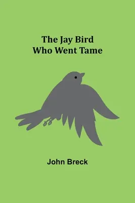 Pasărea Jay care s-a îmblânzit (The Jay Bird Who Went Tame) - The Jay Bird Who Went Tame
