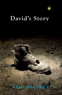 Povestea lui David - David's Story