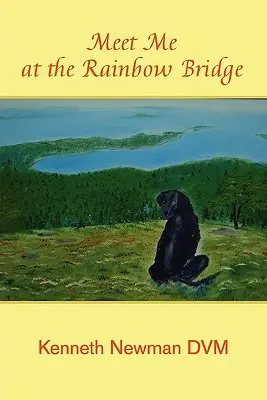 Întâlnește-mă la Podul Curcubeului - Meet Me at the Rainbow Bridge
