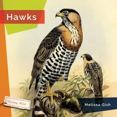 Șoimii - Hawks