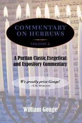 Comentariu la Evrei: Exegetic și expozitiv - Vol. 2 (8-13) - Commentary on Hebrews: Exegetical and Expository - Vol. 2 (8-13)