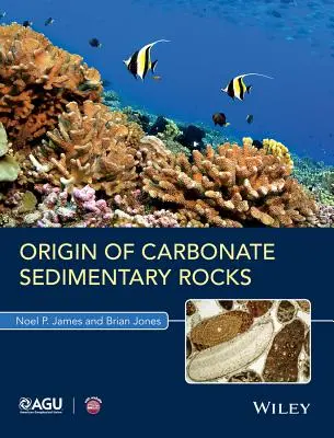 Originea rocilor sedimentare carbonate - Origin of Carbonate Sedimentary Rocks