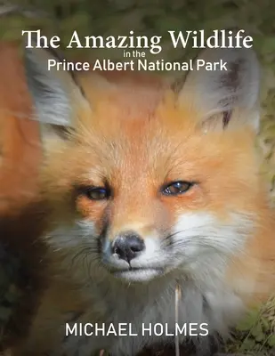 Viața sălbatică uimitoare din Parcul Național Prince Albert - The Amazing Wildlife in the Prince Albert National Park