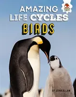Păsările - cicluri de viață uimitoare - Birds - Amazing Life Cycles