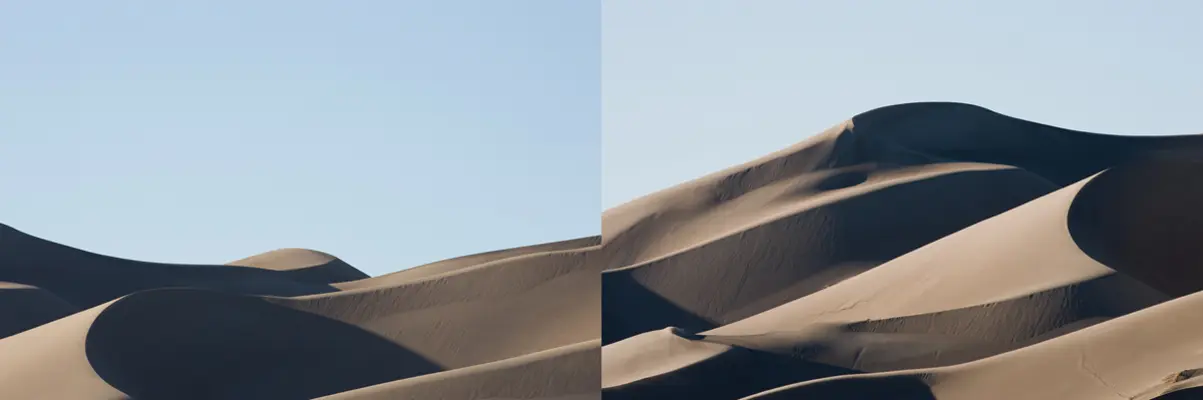 Renate Aller: Ocean și deșert - Renate Aller: Ocean and Desert