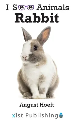 Iepure - Rabbit
