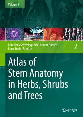 Atlas of Stem Anatomy in Herbs, Shrubs and Trees: Volumul 2 - Atlas of Stem Anatomy in Herbs, Shrubs and Trees: Volume 2