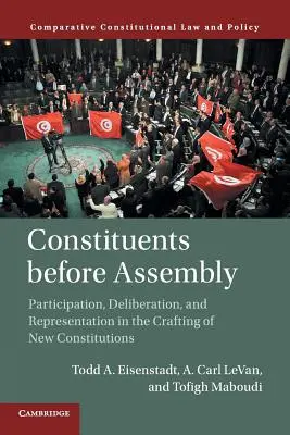 Constituenții în fața Adunării: Participare, deliberare și reprezentare în elaborarea noilor constituții - Constituents Before Assembly: Participation, Deliberation, and Representation in the Crafting of New Constitutions