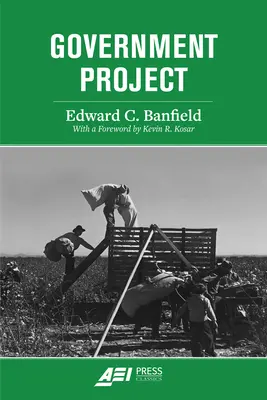 Proiectul guvernamental - Government Project