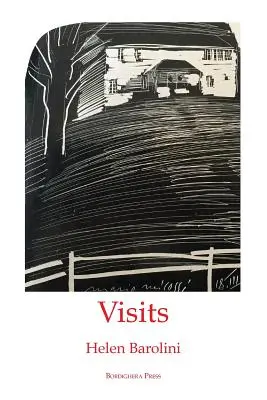 Vizite - Visits