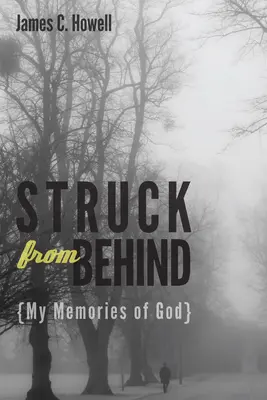 Lovită din spate: Amintirile mele despre Dumnezeu - Struck from Behind: My Memories of God