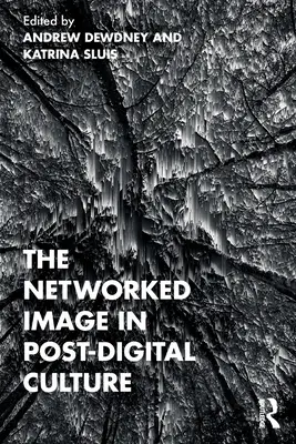 Imaginea în rețea în cultura post-digitală - The Networked Image in Post-Digital Culture