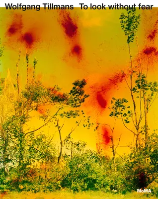Wolfgang Tillmans: Să privești fără teamă - Wolfgang Tillmans: To Look Without Fear