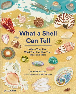 Ce poate spune o scoică - What a Shell Can Tell