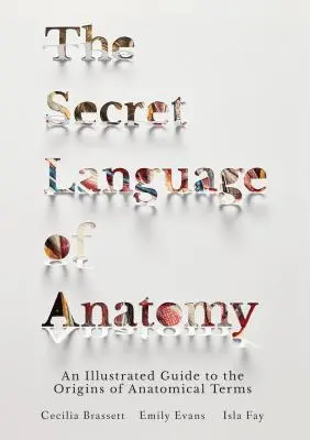 Limbajul secret al anatomiei: Un ghid ilustrat al originii termenilor anatomici - The Secret Language of Anatomy: An Illustrated Guide to the Origins of Anatomical Terms