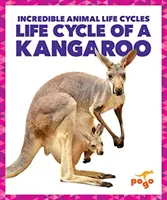 Ciclul de viață al cangurului - Life Cycle of a Kangaroo