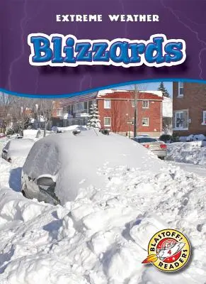 Viscolul - Blizzards
