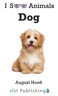 Câine - Dog