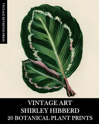 Vintage Art: Shirley Hibberd 20 de imprimeuri botanice cu plante - Vintage Art: Shirley Hibberd 20 Botanical Plant Prints
