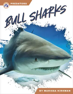 Rechinii taur - Bull Sharks
