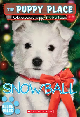 Bulgăre de zăpadă (The Puppy Place #2) - Snowball (the Puppy Place #2)