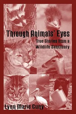 Prin ochii animalelor: Povești adevărate dintr-un sanctuar pentru animale sălbatice (Through Animals' Eyes: True Stories from a Wildlife Sanctuary) - Through Animals' Eyes: True Stories from a Wildlife Sanctuary