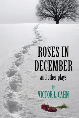 Trandafiri în decembrie - Roses in December