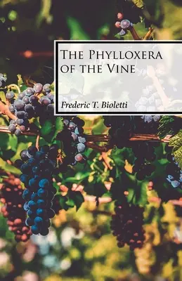 Phylloxera viței de vie - The Phylloxera of the Vine