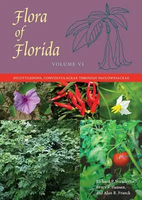 Flora din Florida, volumul VI: Dicotiledonate, de la Convolvulaceae la Paulowniaceae - Flora of Florida, Volume VI: Dicotyledons, Convolvulaceae through Paulowniaceae
