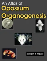 Un atlas al organogenezei oposumului: Dezvoltarea oposumului - An Atlas of Opossum Organogenesis: Opossum Development