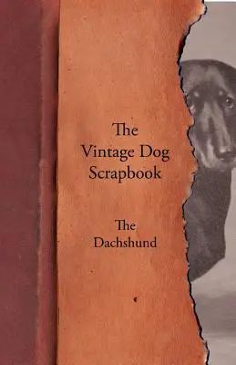 Cartea de amintiri a câinelui de epocă - Dachshund - The Vintage Dog Scrapbook - The Dachshund