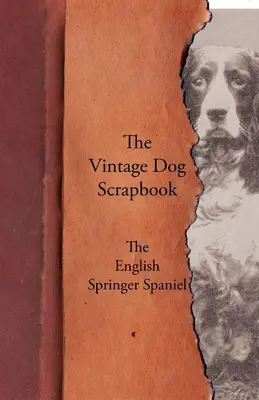 Cartea de amintiri a câinelui de epocă - Springer Spaniel englez - The Vintage Dog Scrapbook - The English Springer Spaniel