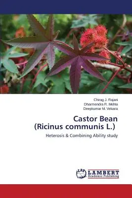 Boabele de ricin (Ricinus communis L.) - Castor Bean (Ricinus communis L.)