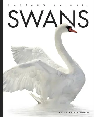 Lebede - Swans