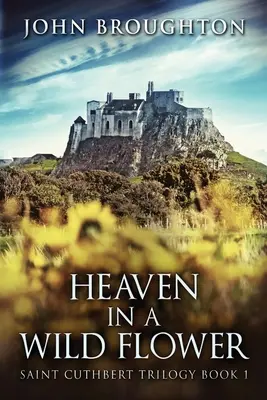 Raiul într-o floare sălbatică: Povestea unui lucrător în piele anglo-saxon din Lindisfarne - Heaven In A Wild Flower: Tale Of An Anglo-Saxon Leatherworker On Lindisfarne