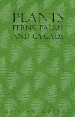 Plante - Ferigi, palmieri și cicade - Plants - Ferns, Palms and Cycads