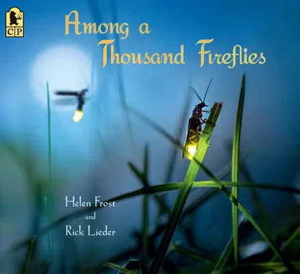 Printre o mie de licurici - Among a Thousand Fireflies